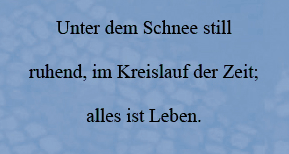 Lyrics - Juli 2007