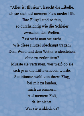 Lyrics - Juli 2007