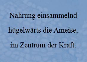 Lyrics - Juli 2007
