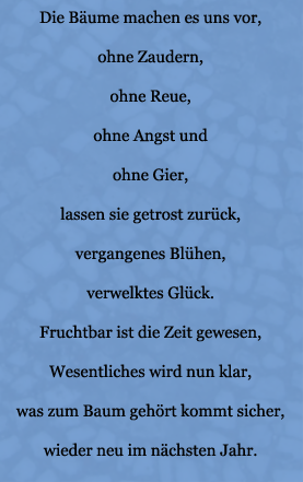 Lyrics - Juli 2007