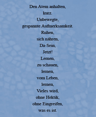 Lyrics - Juli 2007