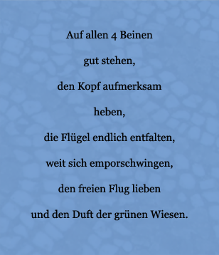 Lyrics - Juli 2007